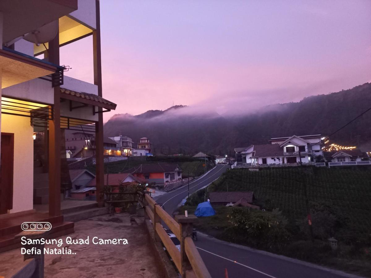 Bromo Deddy Homestay エクステリア 写真