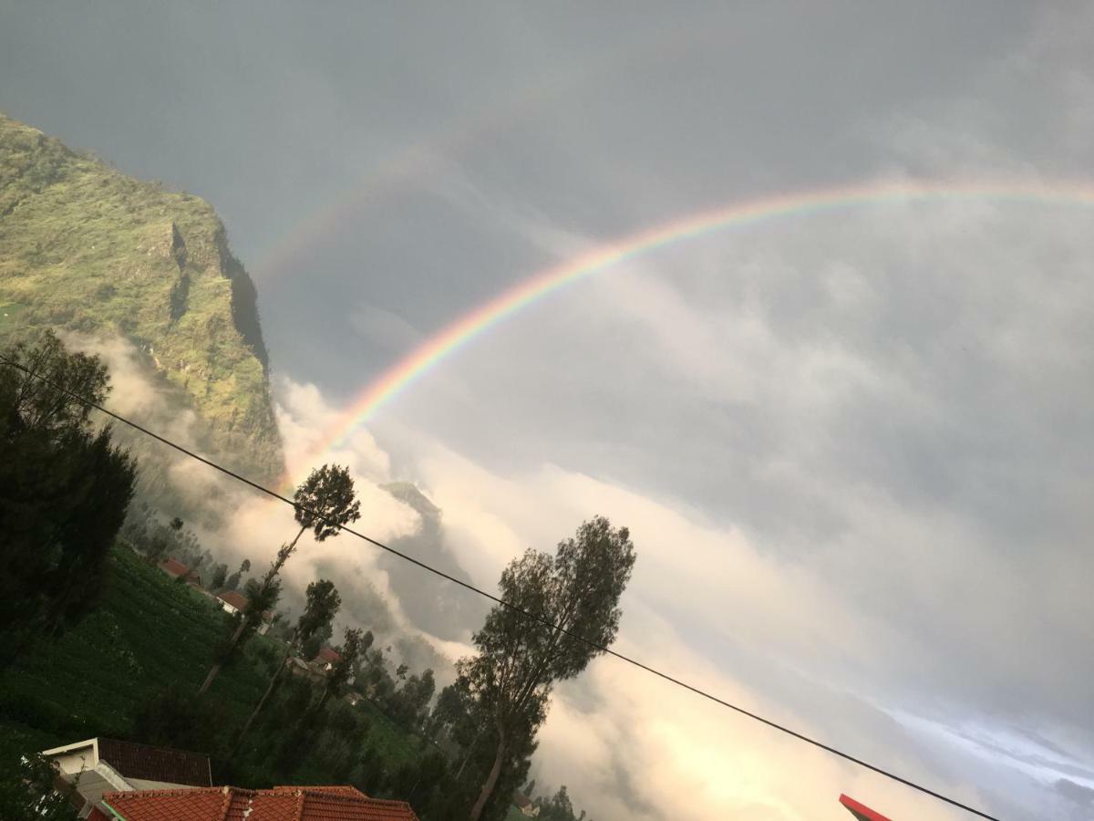 Bromo Deddy Homestay エクステリア 写真